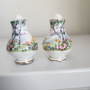 Royal Albert "Silver Birch" Salt And Pepper Shakers, England